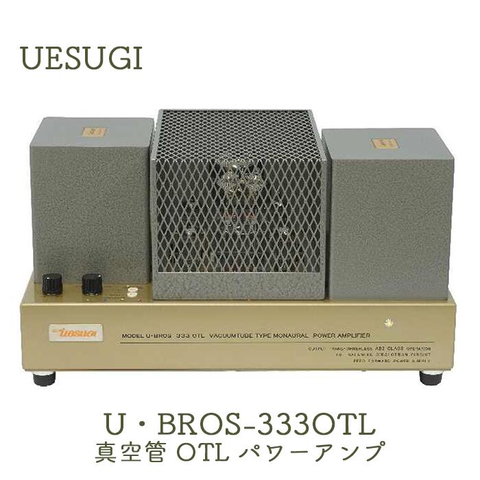 楽天市場】モノラル パワーアンプの通販