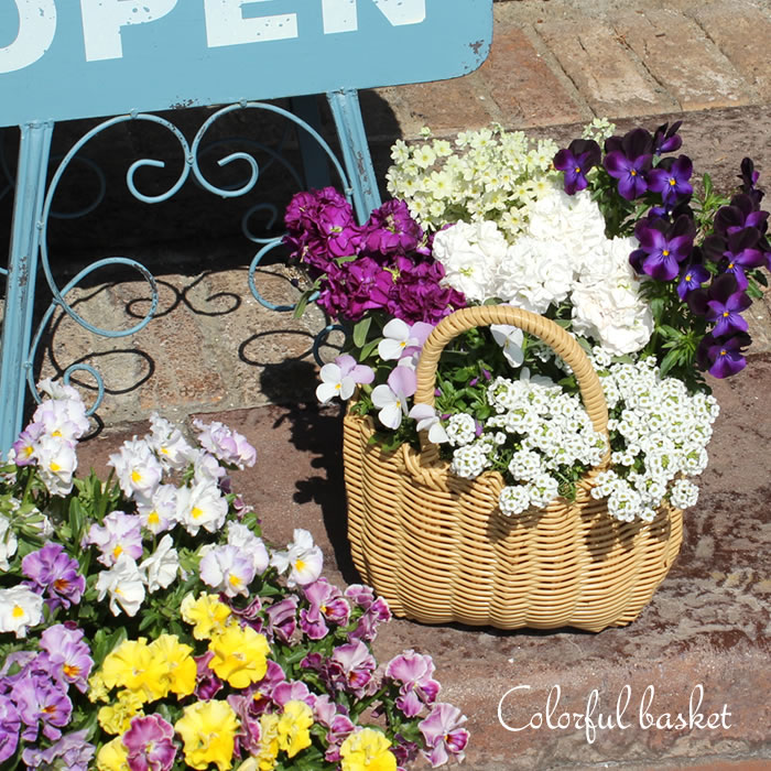 楽天市場】寄せ植えできる かわいい カラフル バスケット（Sサイズ