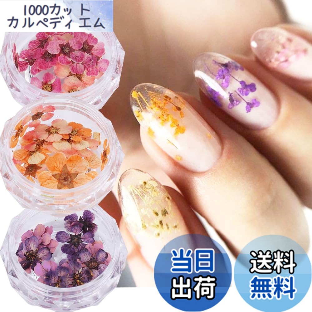押し花 ネイル パーツ」の人気商品一覧 | 安い商品を通販サイトから