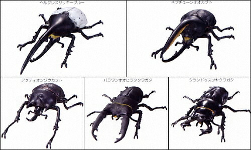 楽天市場】ムシキング 新甲虫図鑑DX全5種フルコンプ！！ : 298Toys