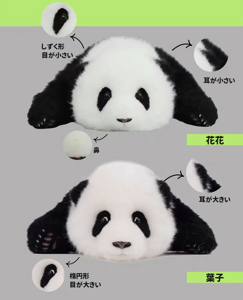 楽天市場】パンダぬいぐるみ 花花 葉子 年齢3か月/1.5か月 可愛い