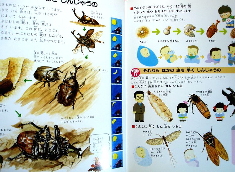 楽天市場】【中古】なぜなぜベスト図鑑 1 むし 1 : 63堂