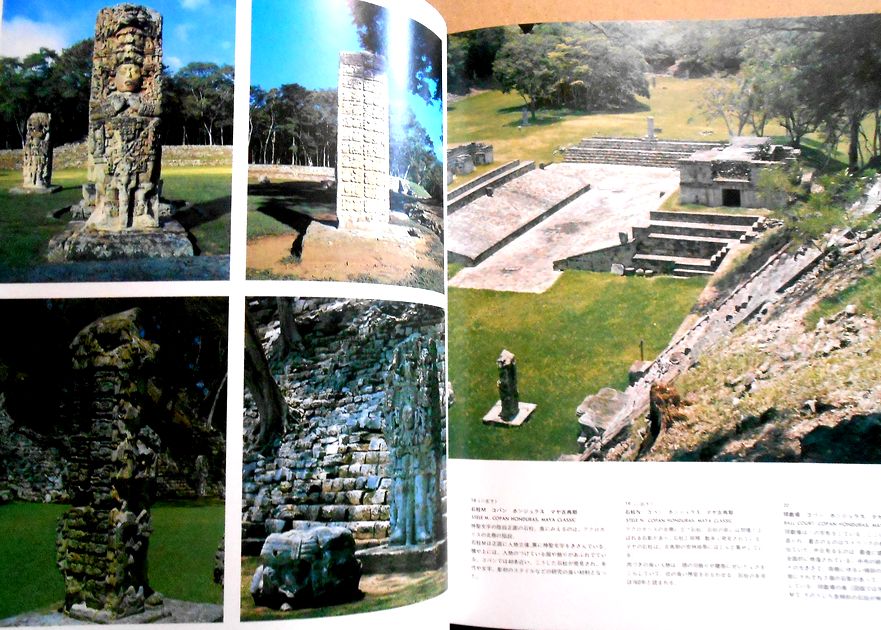 楽天市場】【送料無料】【中古大型本】世界の文化史蹟 第8巻 マヤの