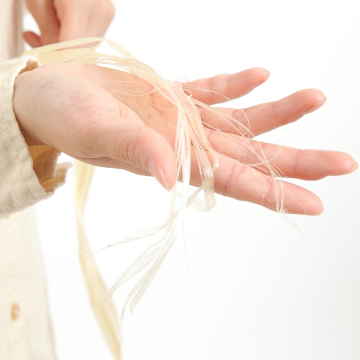 楽天市場】予約販売【国産】野州麻ブランドの素晴らしい最特上級の精麻