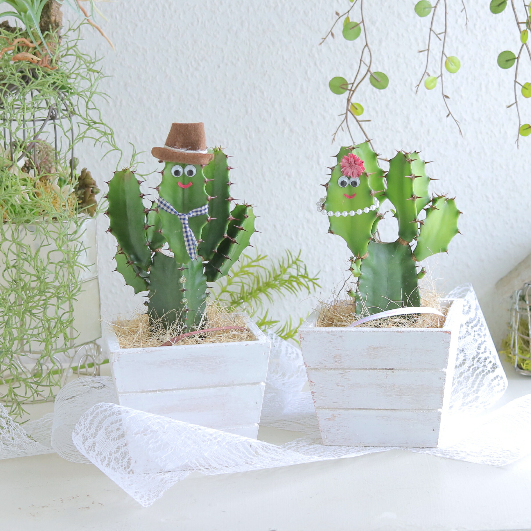 楽天市場】《スマイル プレゼント》 癒しの笑顔シリーズ さぼてん君と