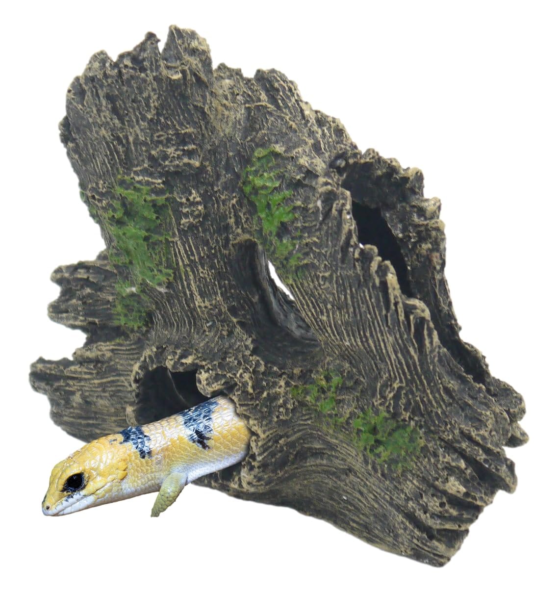 楽天市場】Sugarello 爬虫類 隠れ家 登り木 遊び場 流木 水槽