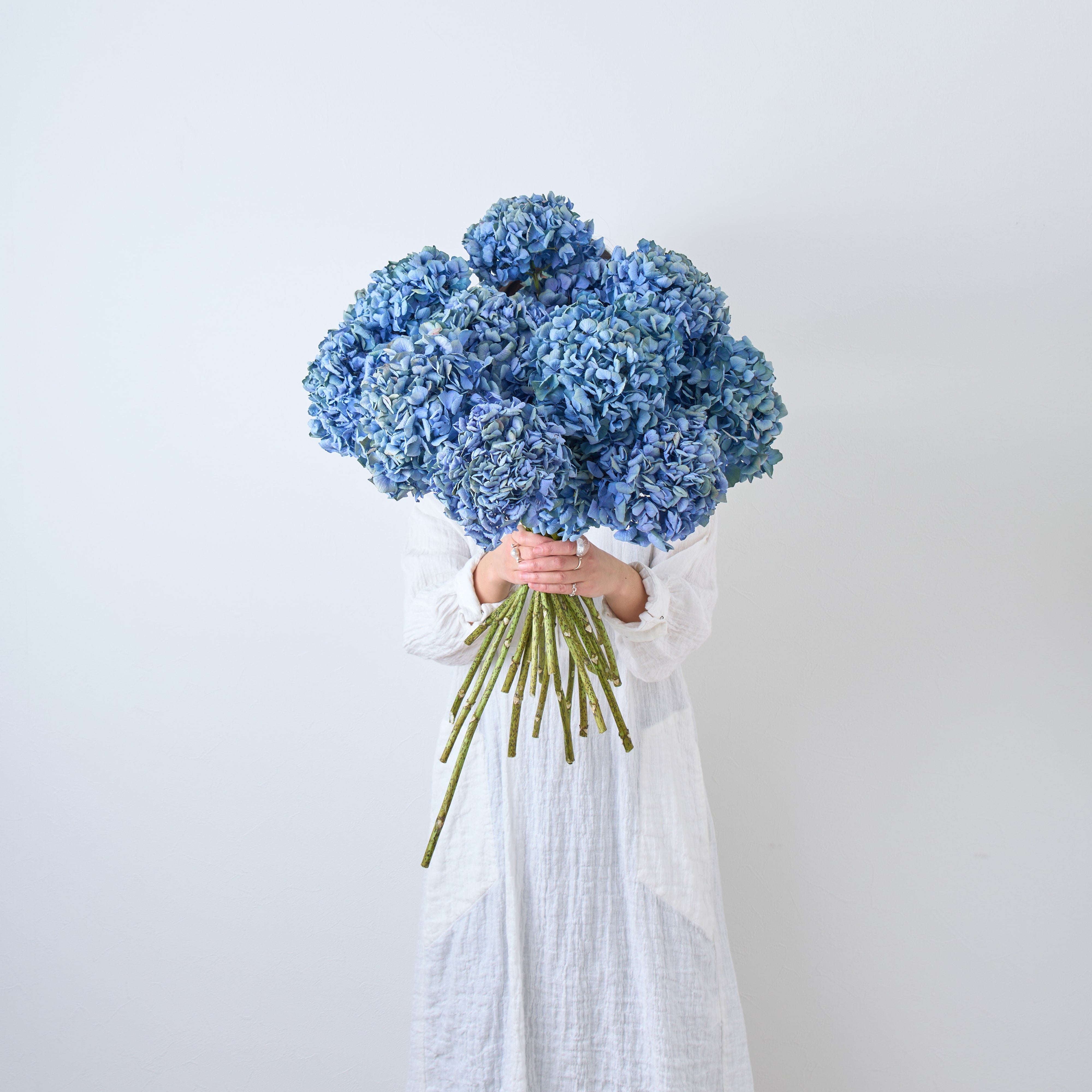 一輪挿しで愛しさ増すドライボタニカル（瀬戸内ブルーの紫陽花）商品