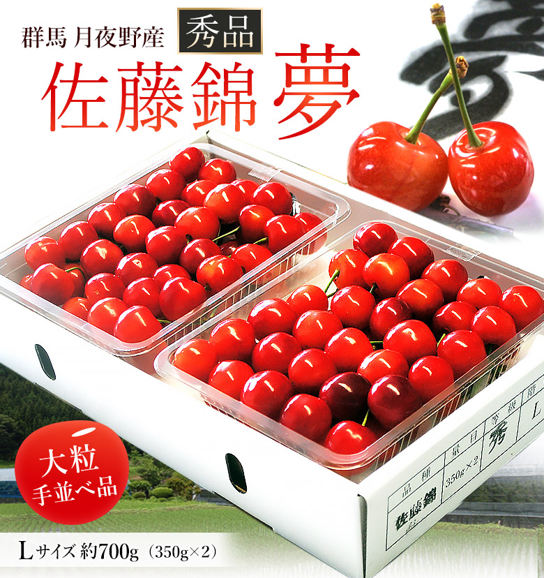 夢（品種：佐藤錦）」群馬県月夜野産さくらんぼ 秀品 L 計約700g（約