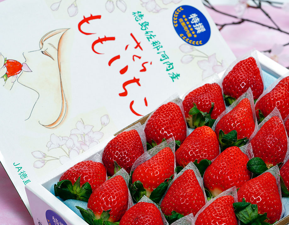 さくらももいちご｜豊洲市場ドットコム