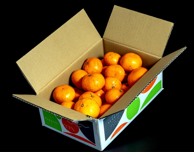 正規品】前田晃佑さんのみかん「させぼ温州」 約3kg (バラ詰め2S〜L