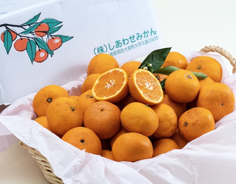 西田秀基さんの 「せとみ」 山口県周防大島産 約3kg 2Sサイズ (目安