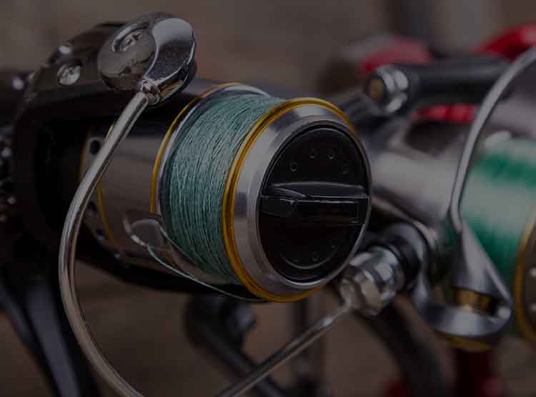 23 BG SW 18000のスペック | 釣りクラウド