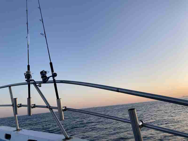 20-saltiga-8000-p-kaiyumaru-