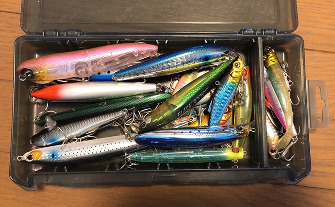 あなたのタックルボックス見せてください：陸っぱりルアーシーバス編