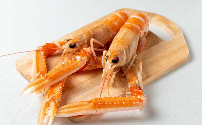 美味で知られる『アカザエビ』 実はエビではなくザリガニだった