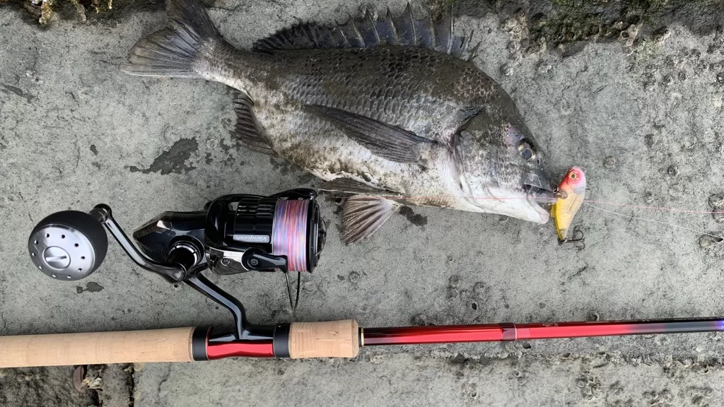 実際に買って使って本音レビュー】シマノワールドシャウラドリーム