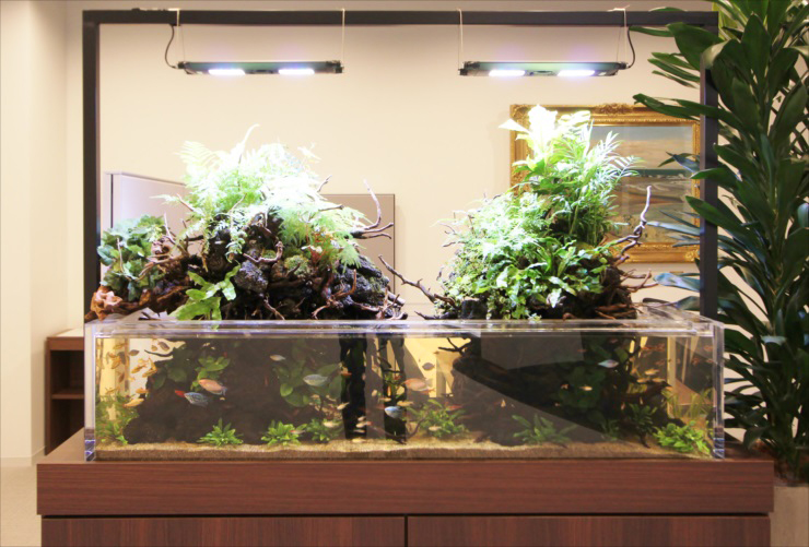 テラリウムに使うおすすめの照明7選・最新機種や人気の照明を特集