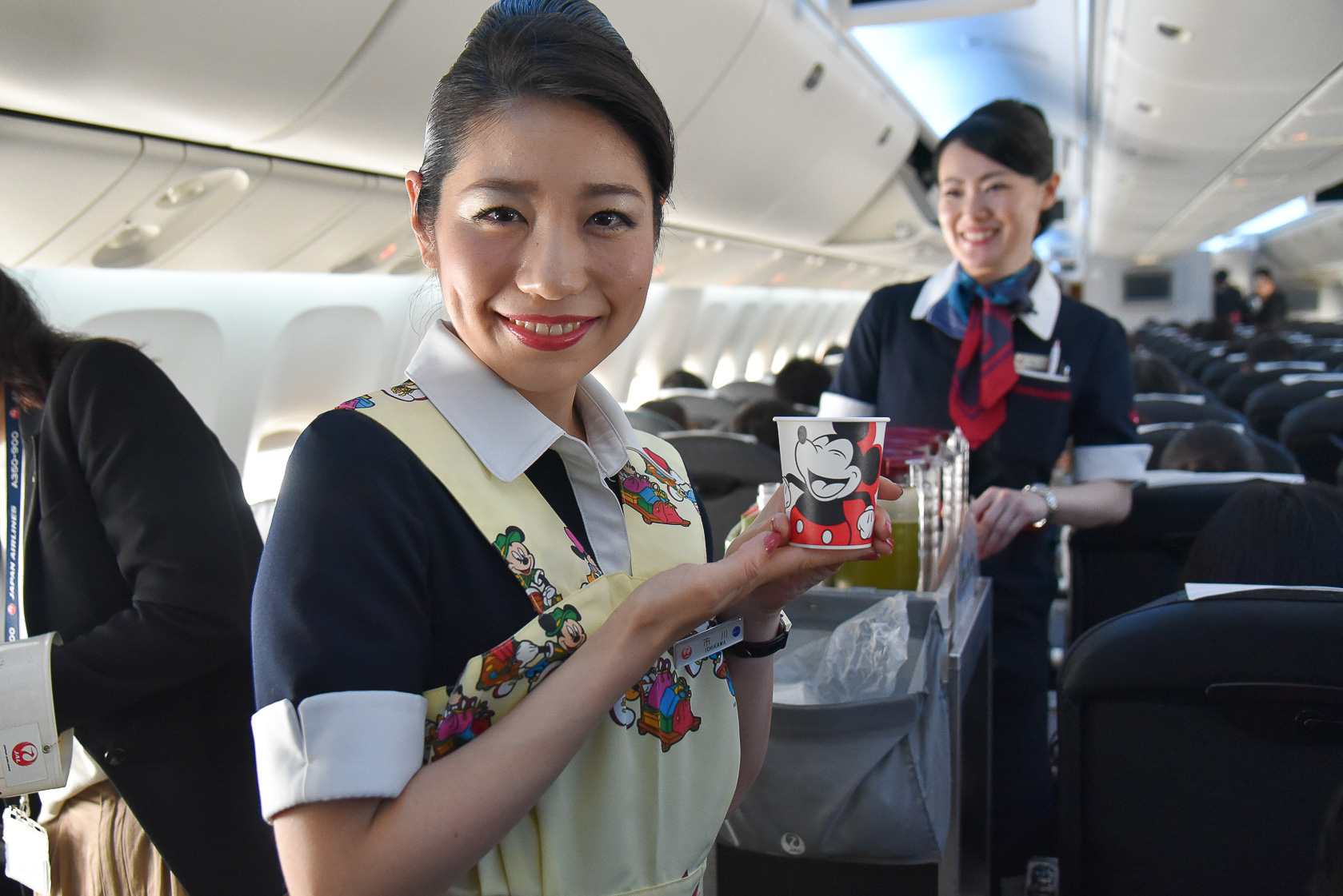 JAL、「JAL DREAM EXPRESS 90」の遊覧飛行を実施。特別塗装機で