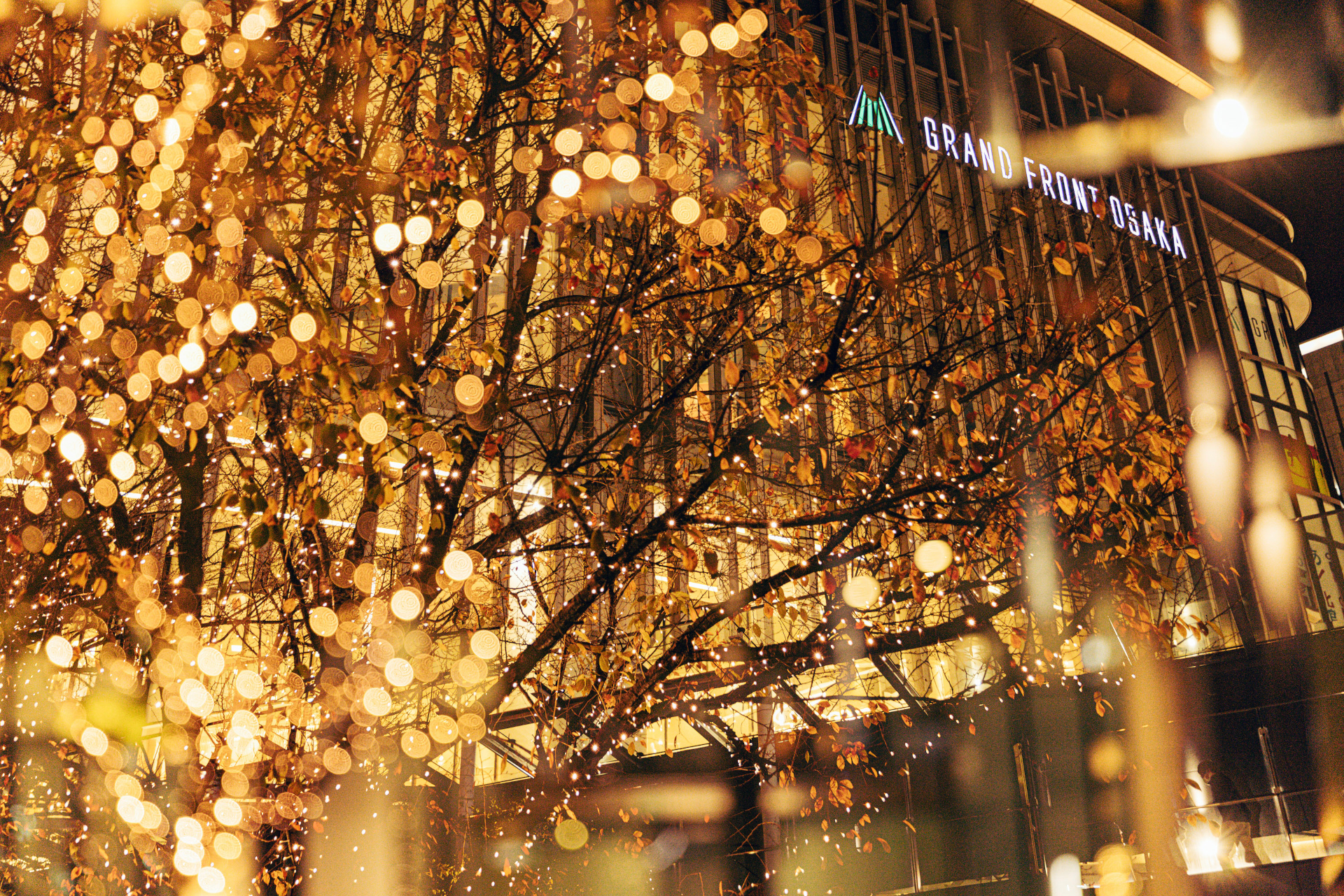 グランフロント大阪×グラングリーン大阪、冬のうめきたを彩る約25万球