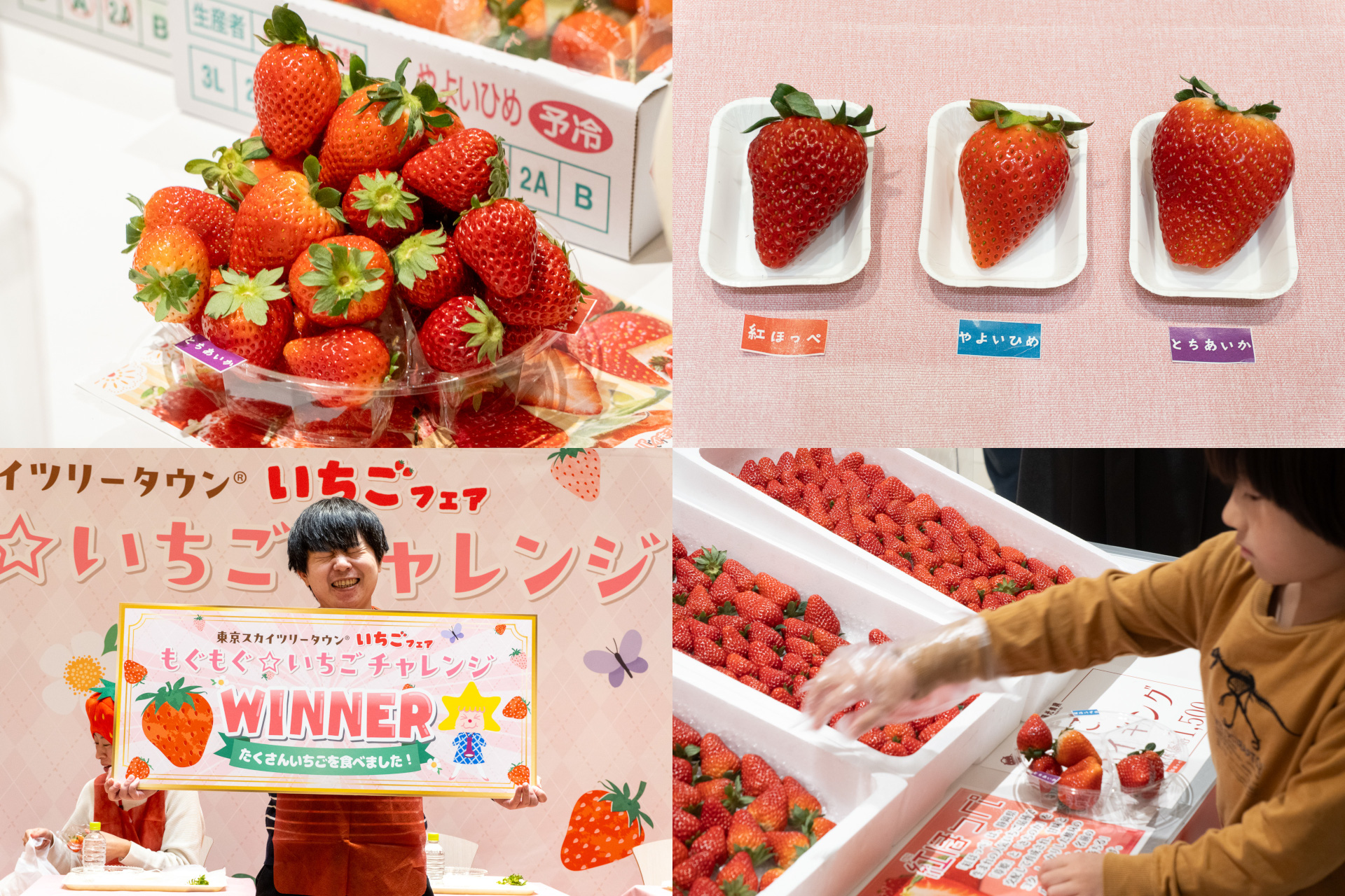 破格の“いちご詰め放題”がスゴい！ 東京スカイツリータウン「いちご