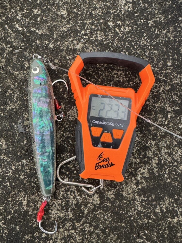 東京都 桟橋ベイトヒラマサキャスティング (OceanSprinter844 Bait