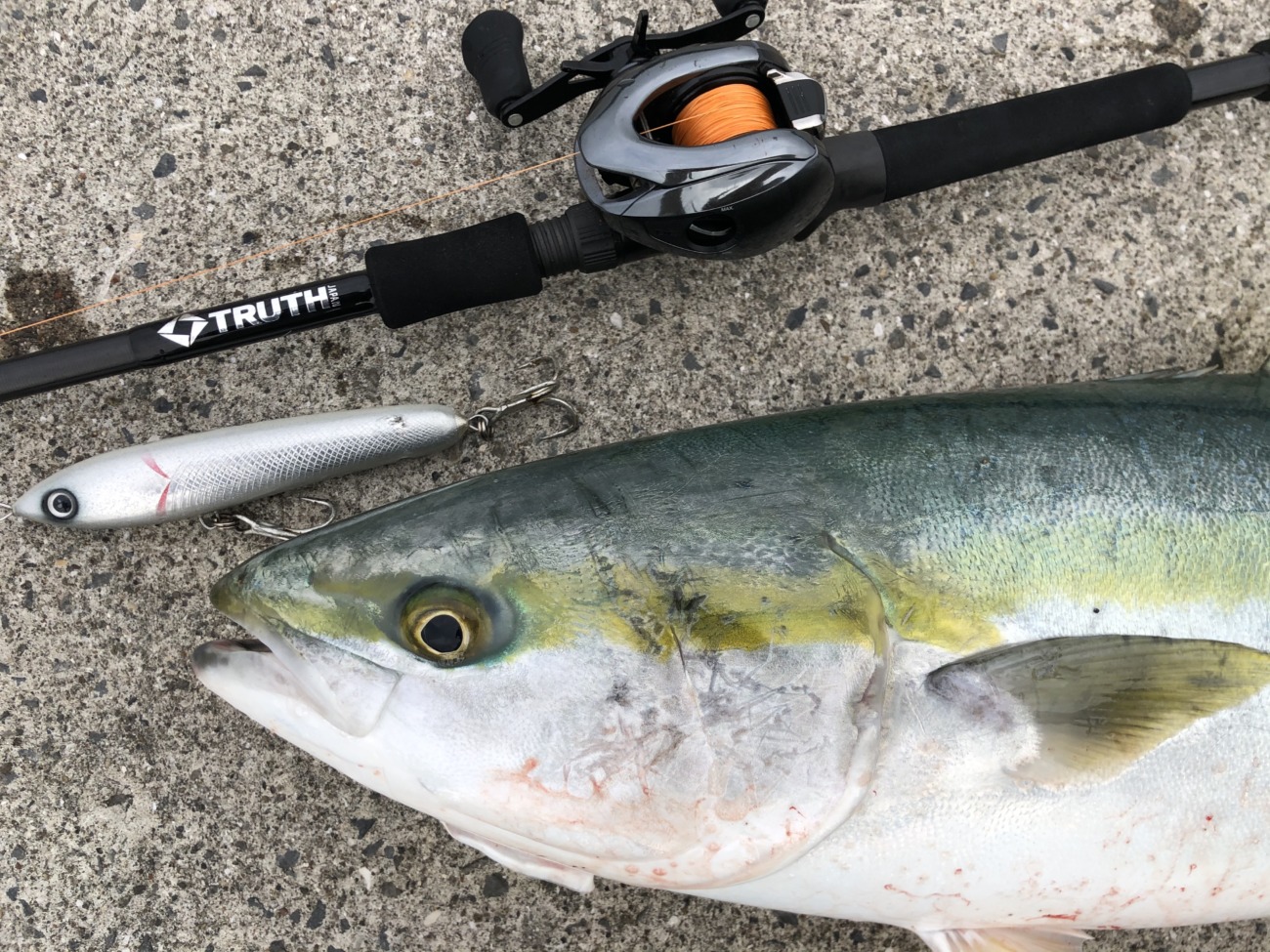 BlackAddiction 105 (HIRA Model) | TRUTH JAPAN