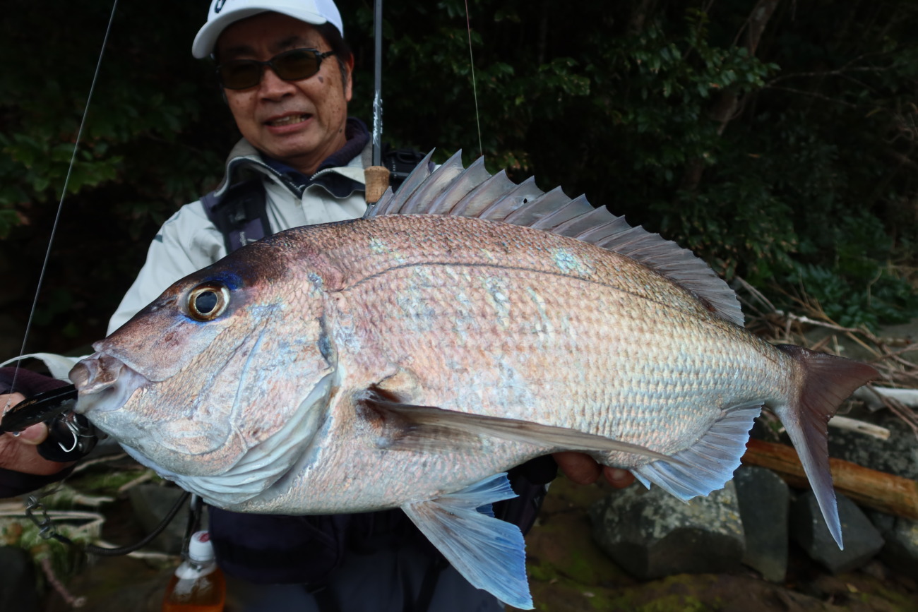 Permission 89SM (SeaBass Spinning Model) | TRUTH JAPAN