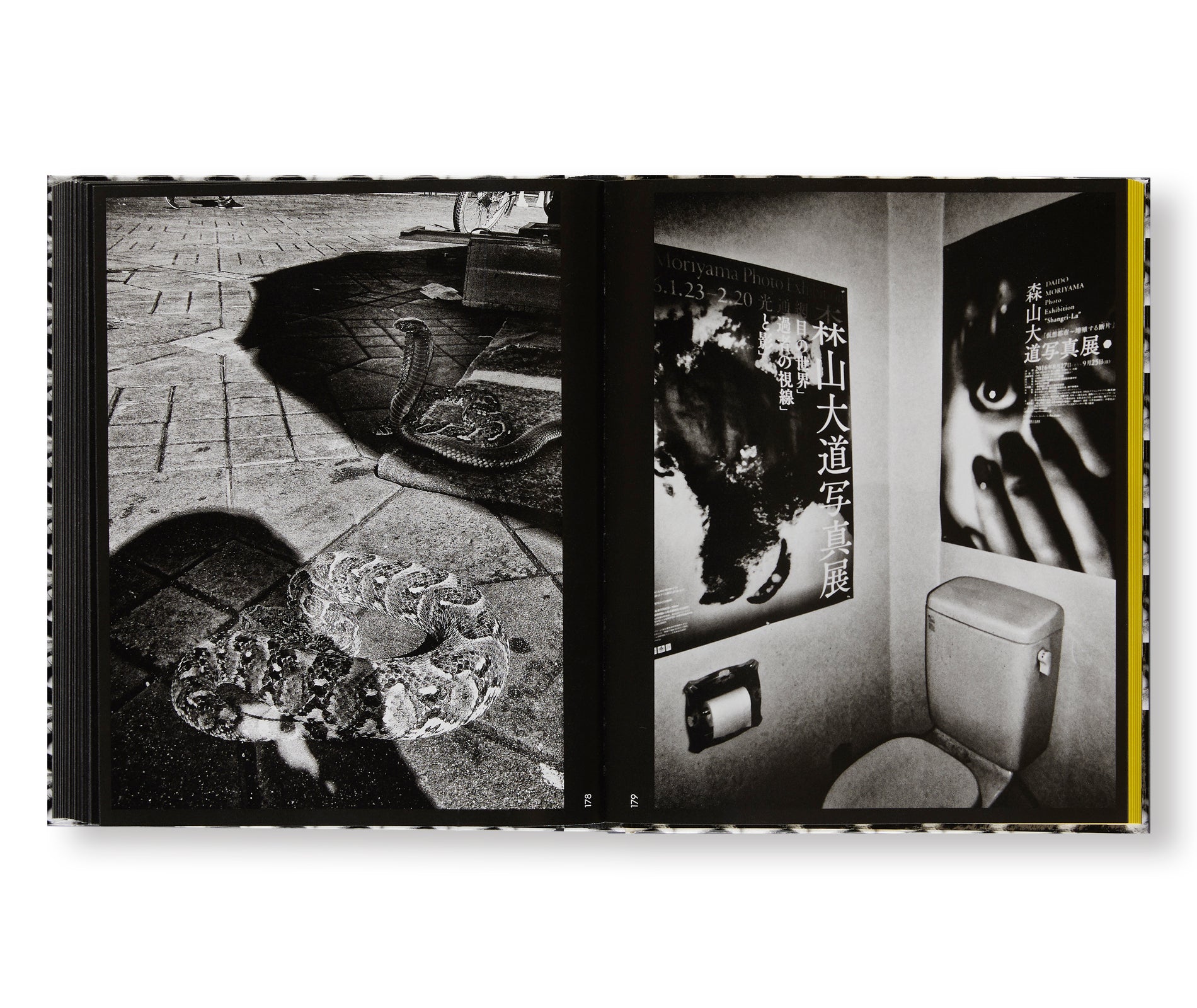 A RETROSPECTIVE by Daido Moriyama – twelvebooks