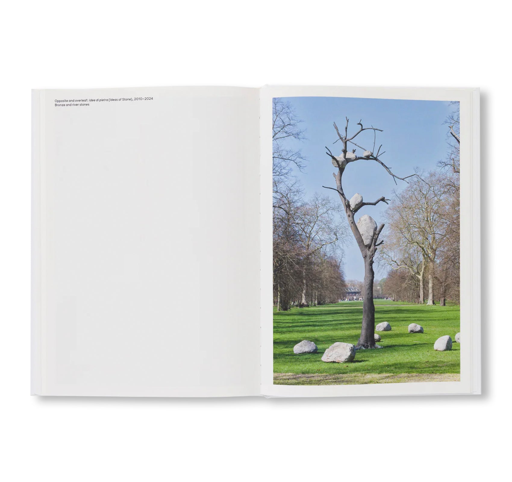 GIUSEPPE PENONE: THOUGHTS IN THE ROOTS by Giuseppe Penone