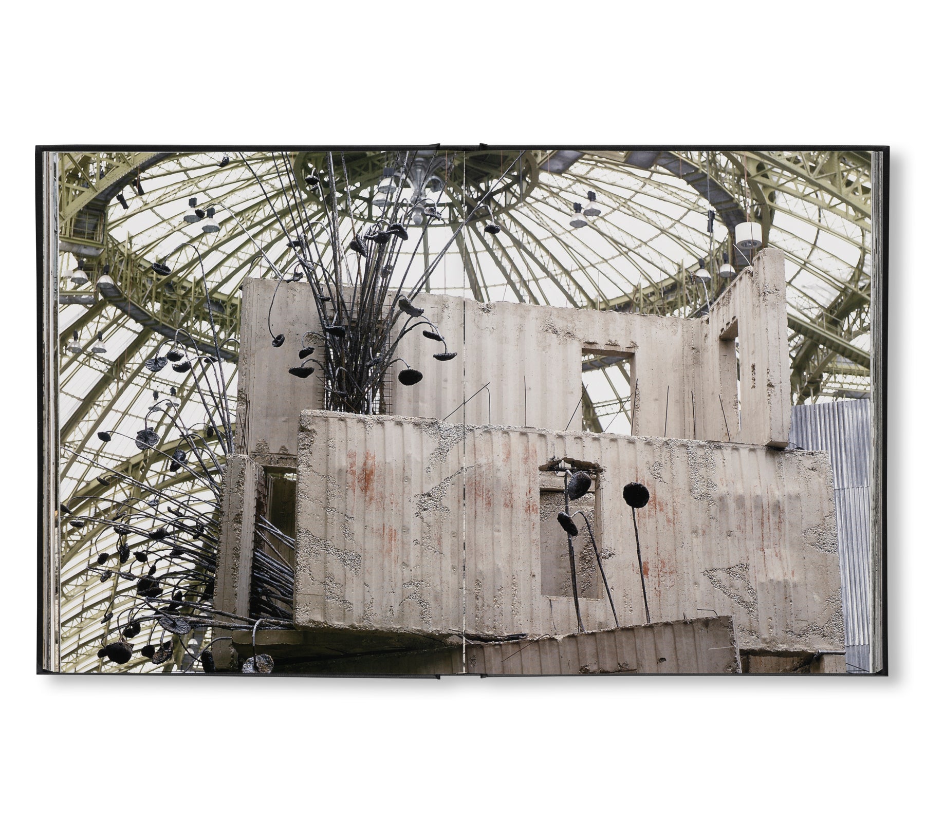 ANSELM KIEFER - STUDIOS by Danièle Cohn – twelvebooks