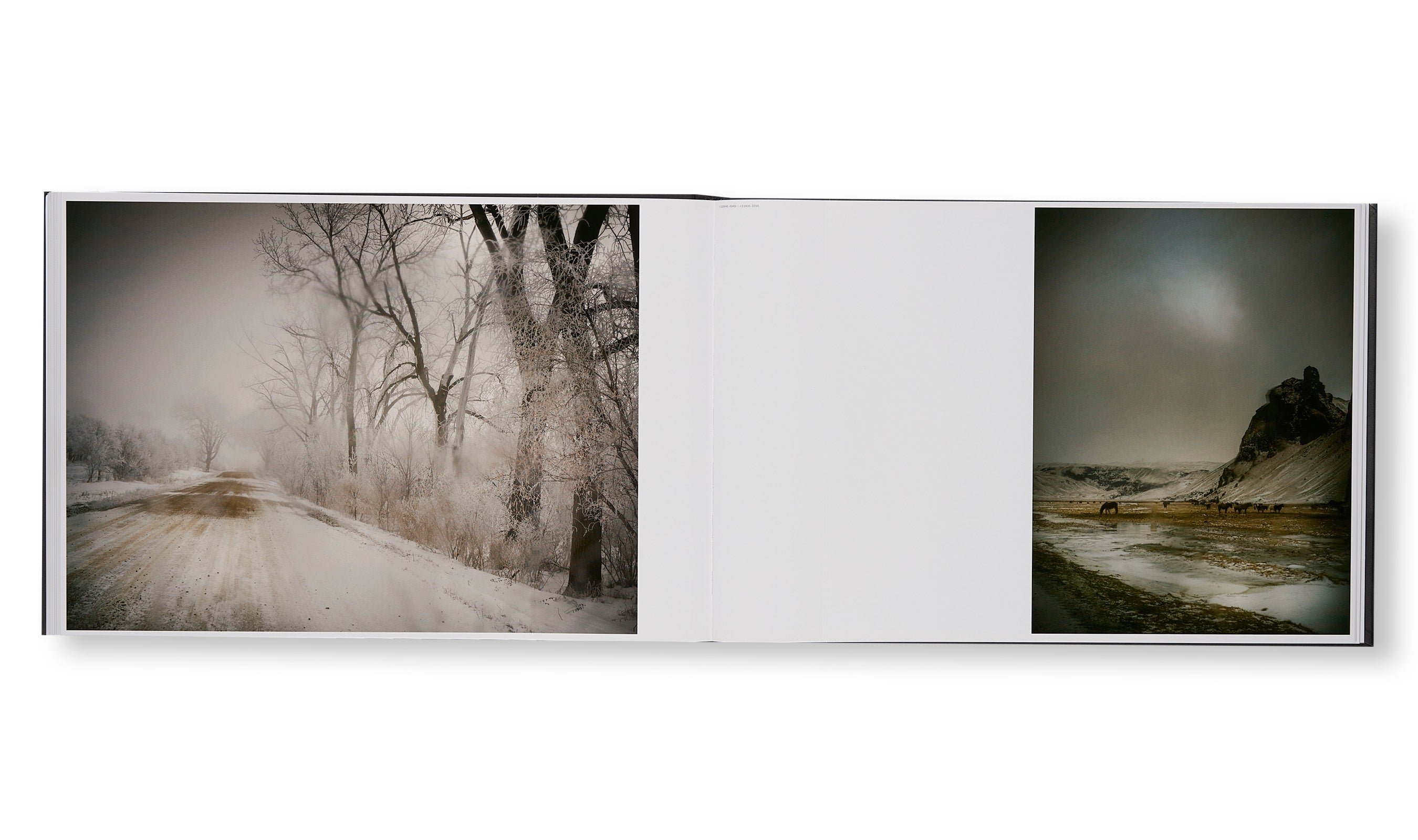THE END SENDS ADVANCE WARNING by Todd Hido – twelvebooks