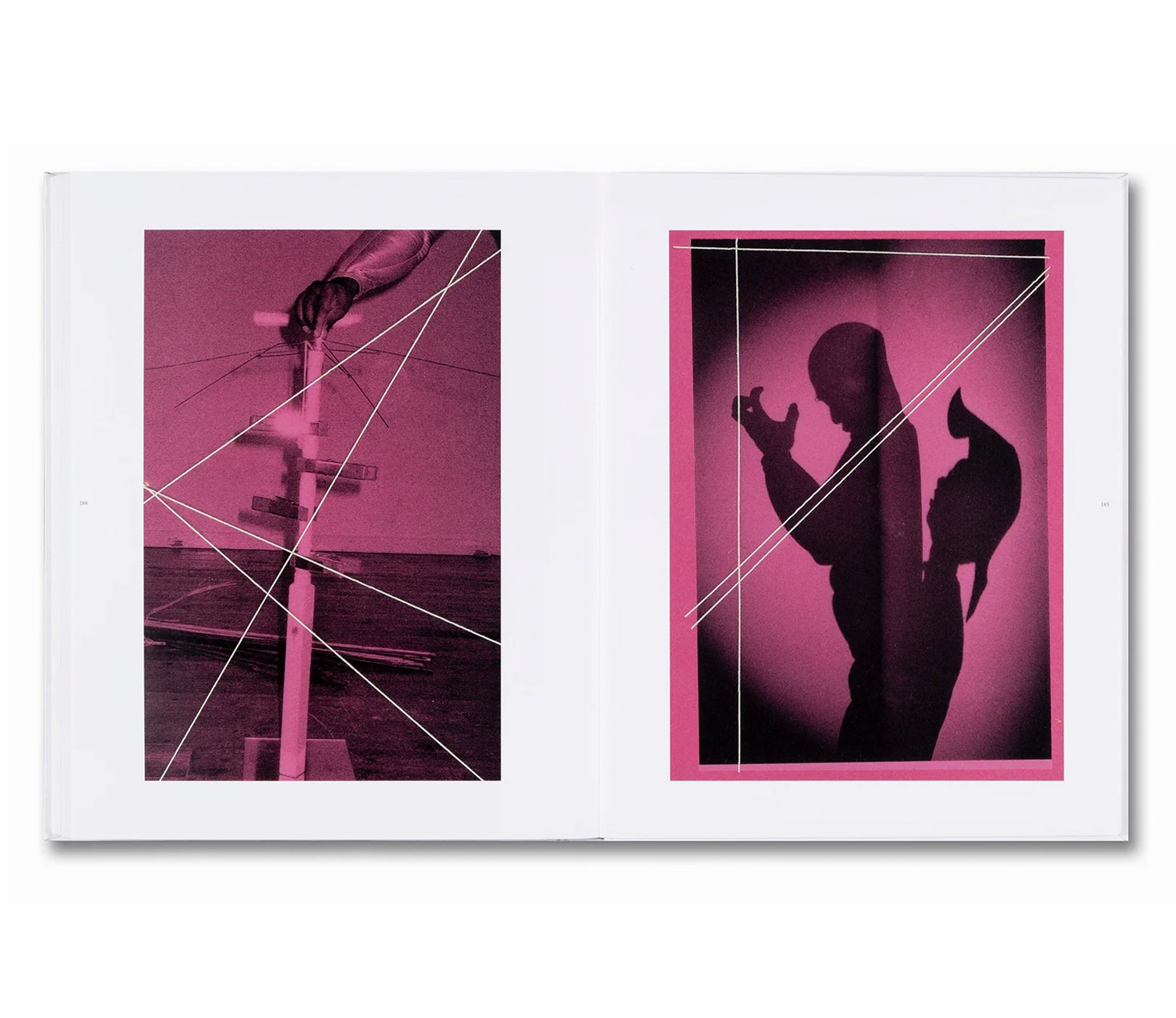 I WILL KEEP YOU IN GOOD COMPANY by Liz Johnson Artur – twelvebooks