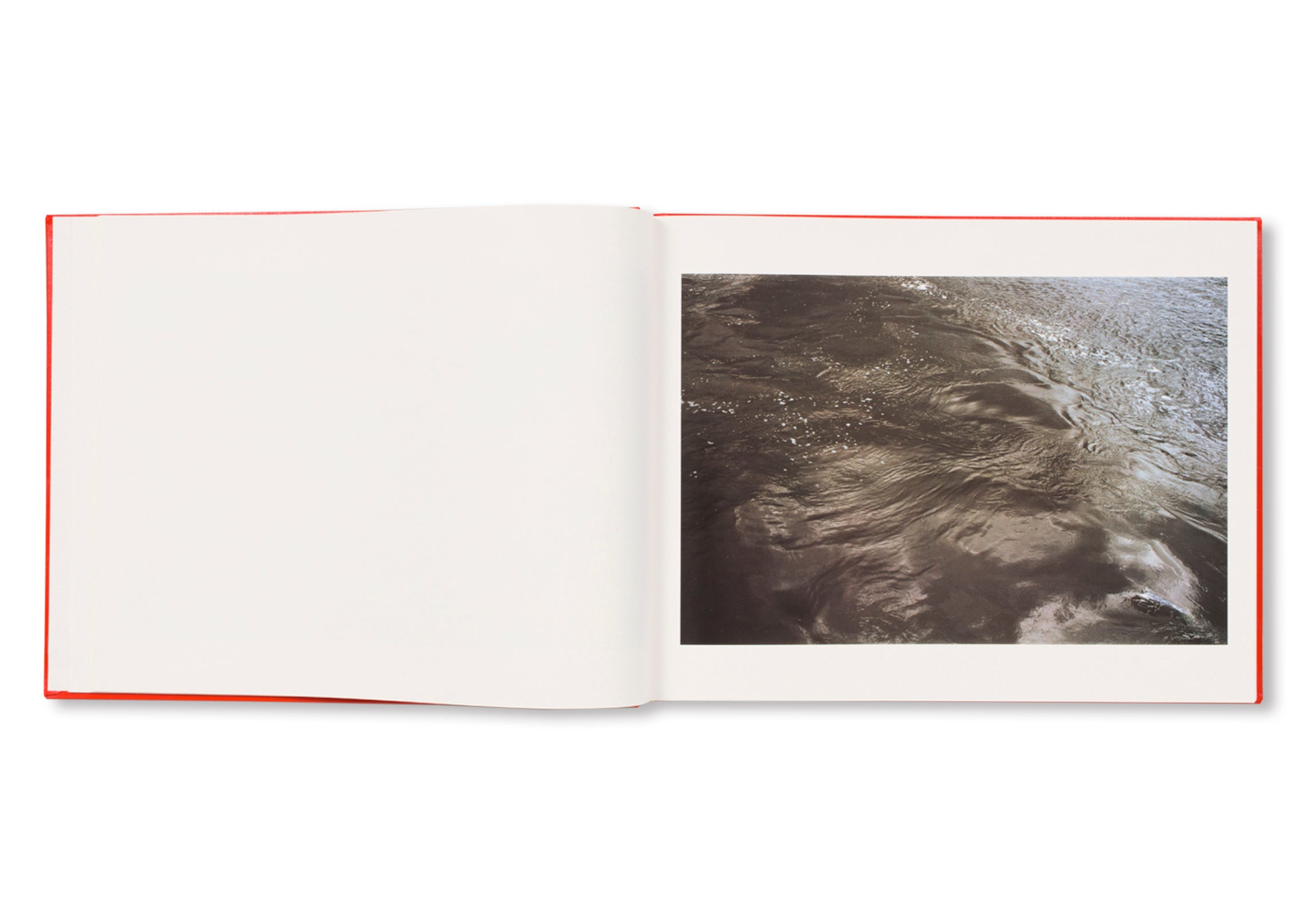 DICTIONARY OF WATER by Roni Horn – twelvebooks