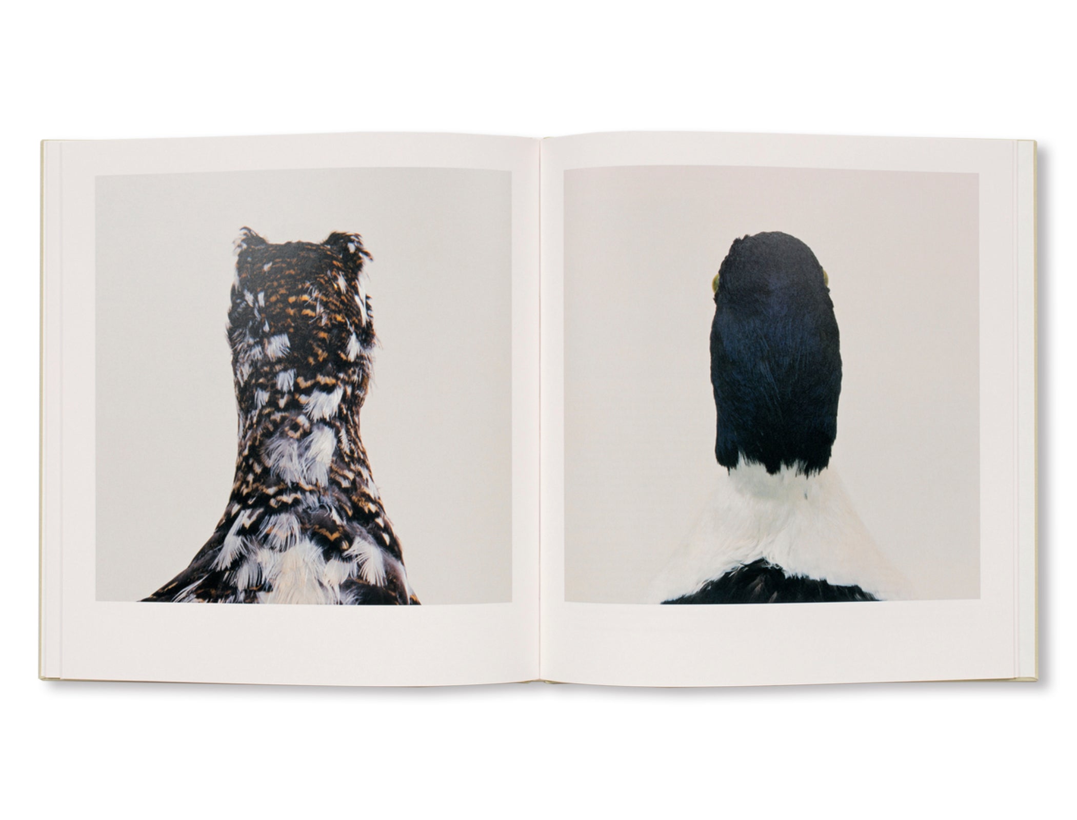 BIRD by Roni Horn – twelvebooks