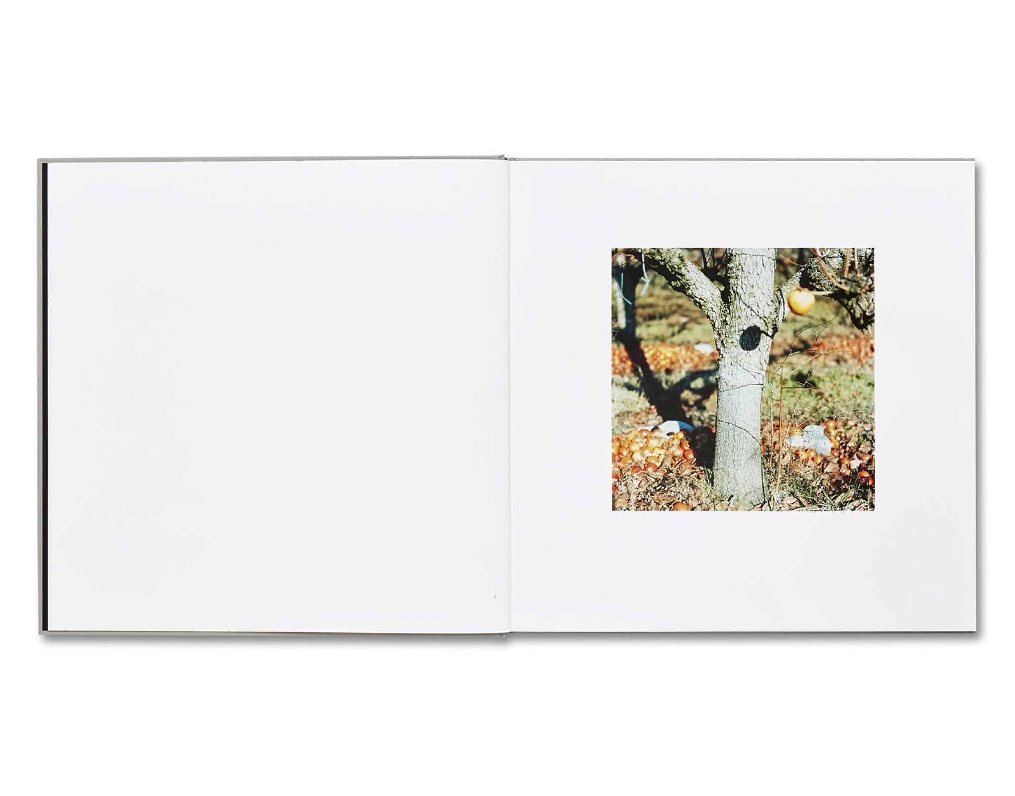 LUNARIO, 1968-1999 by Guido Guidi – twelvebooks