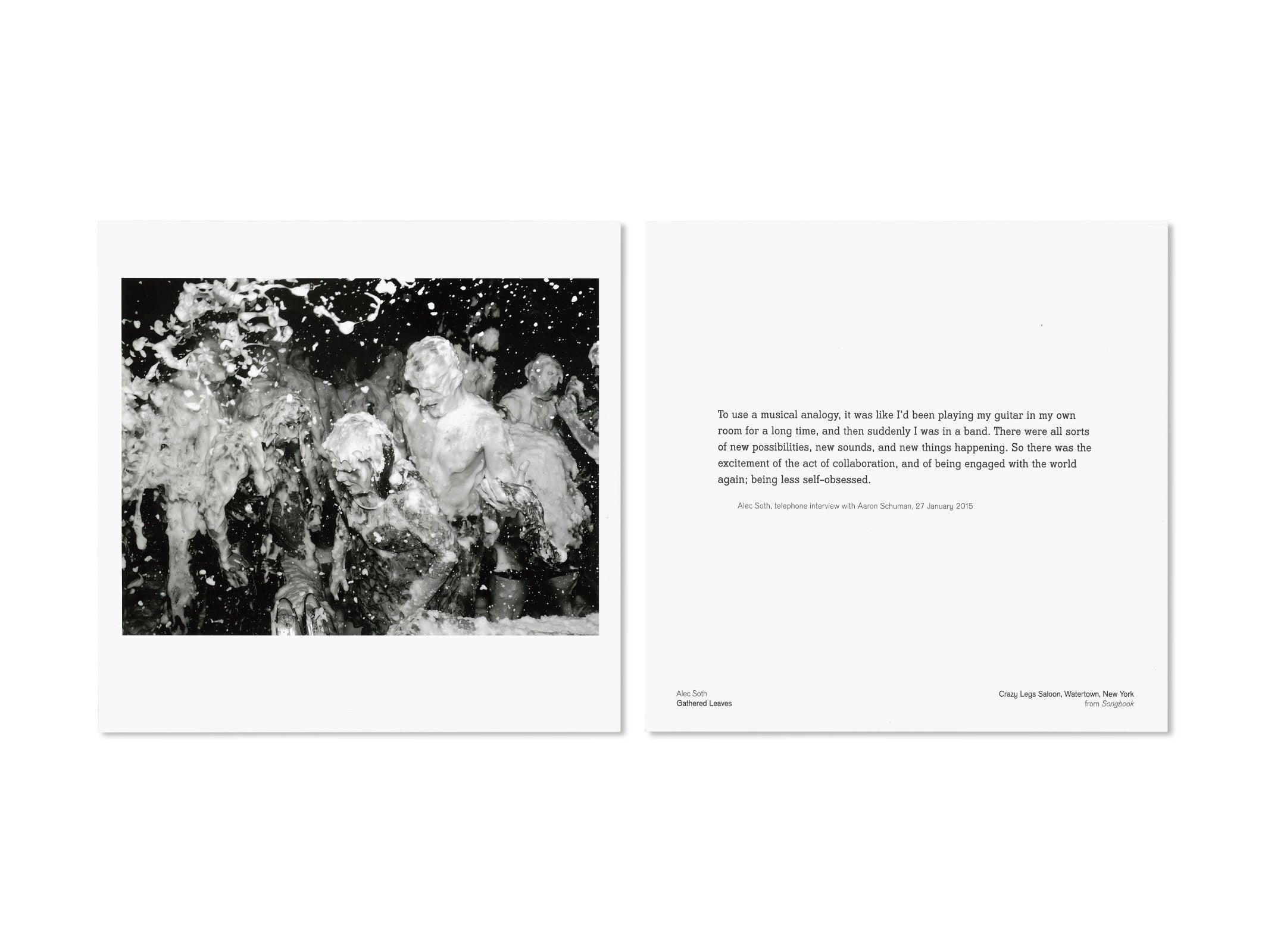 GATHERED LEAVES by Alec Soth – twelvebooks
