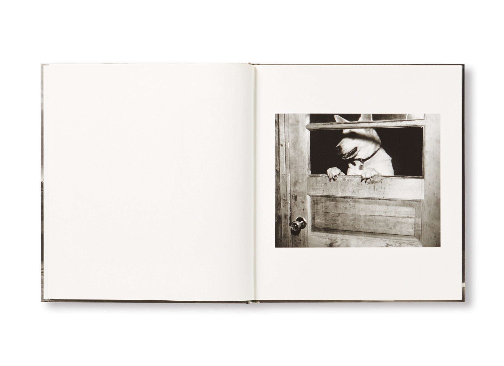 LOOKING FOR LOVE, 1996 by Alec Soth – twelvebooks