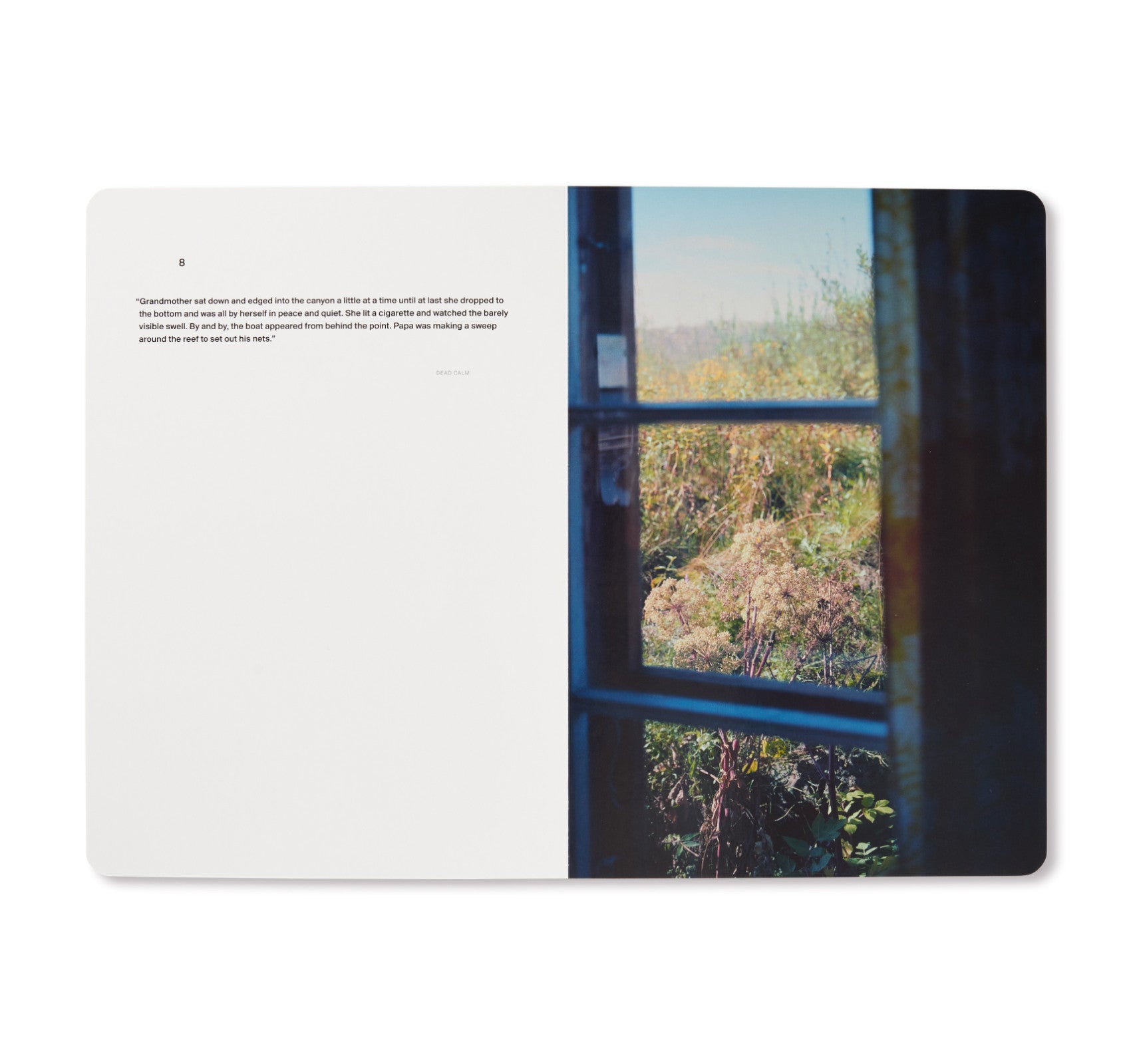 A SONG FOR WINDOWS by Takashi Homma – twelvebooks