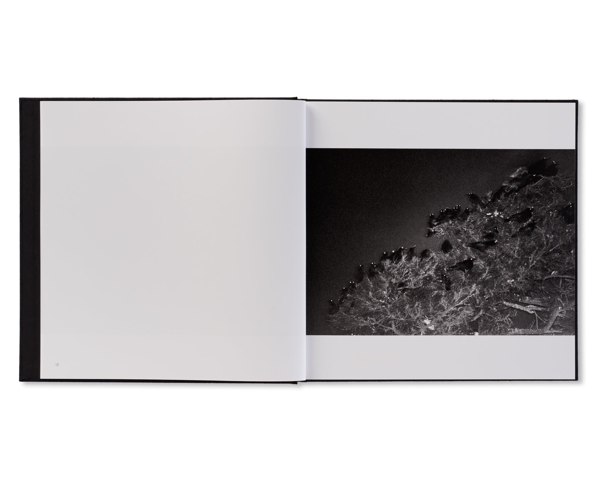 鴉 / RAVENS by Masahisa Fukase – twelvebooks