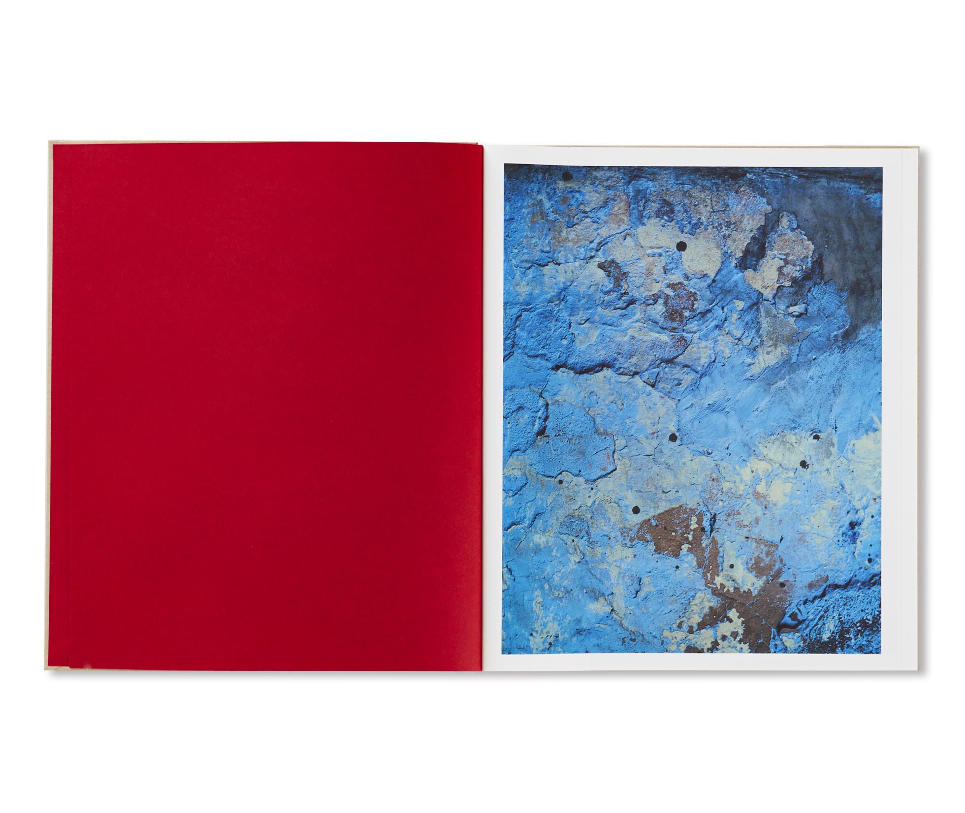 PAINTINGS by Harley Weir – twelvebooks