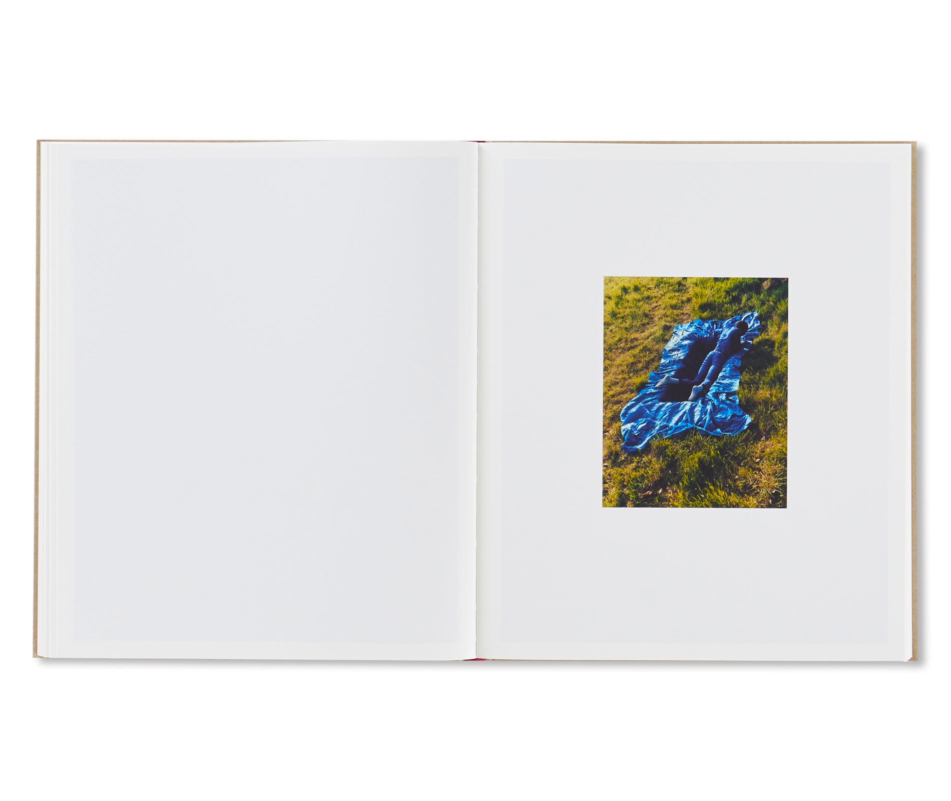 PAINTINGS by Harley Weir – twelvebooks