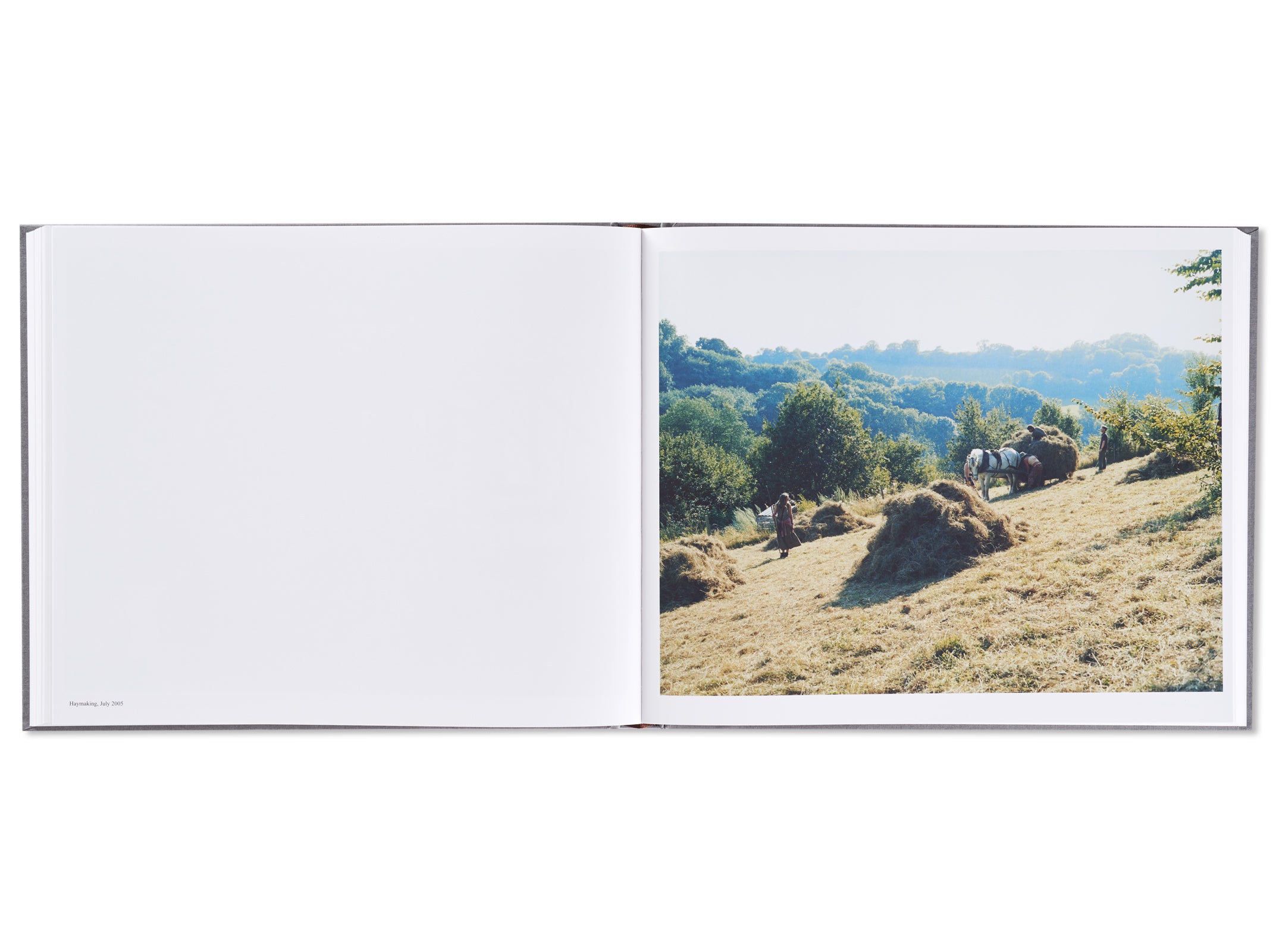 SETTLEMENTS by David Spero – twelvebooks