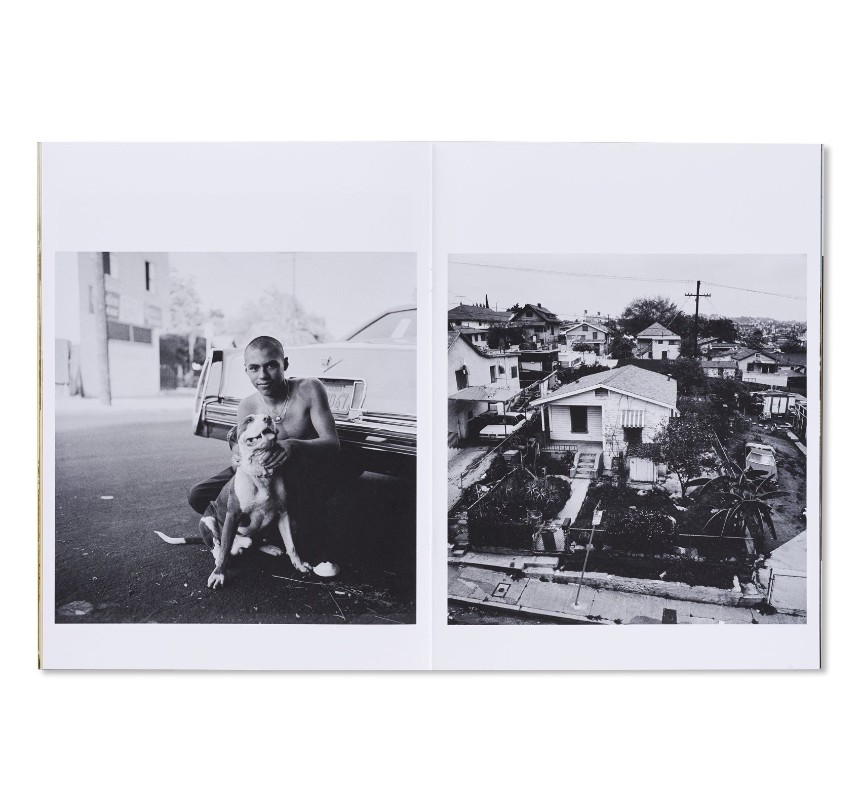 WALLS & BRIDGES by Gregory Bojorquez – twelvebooks