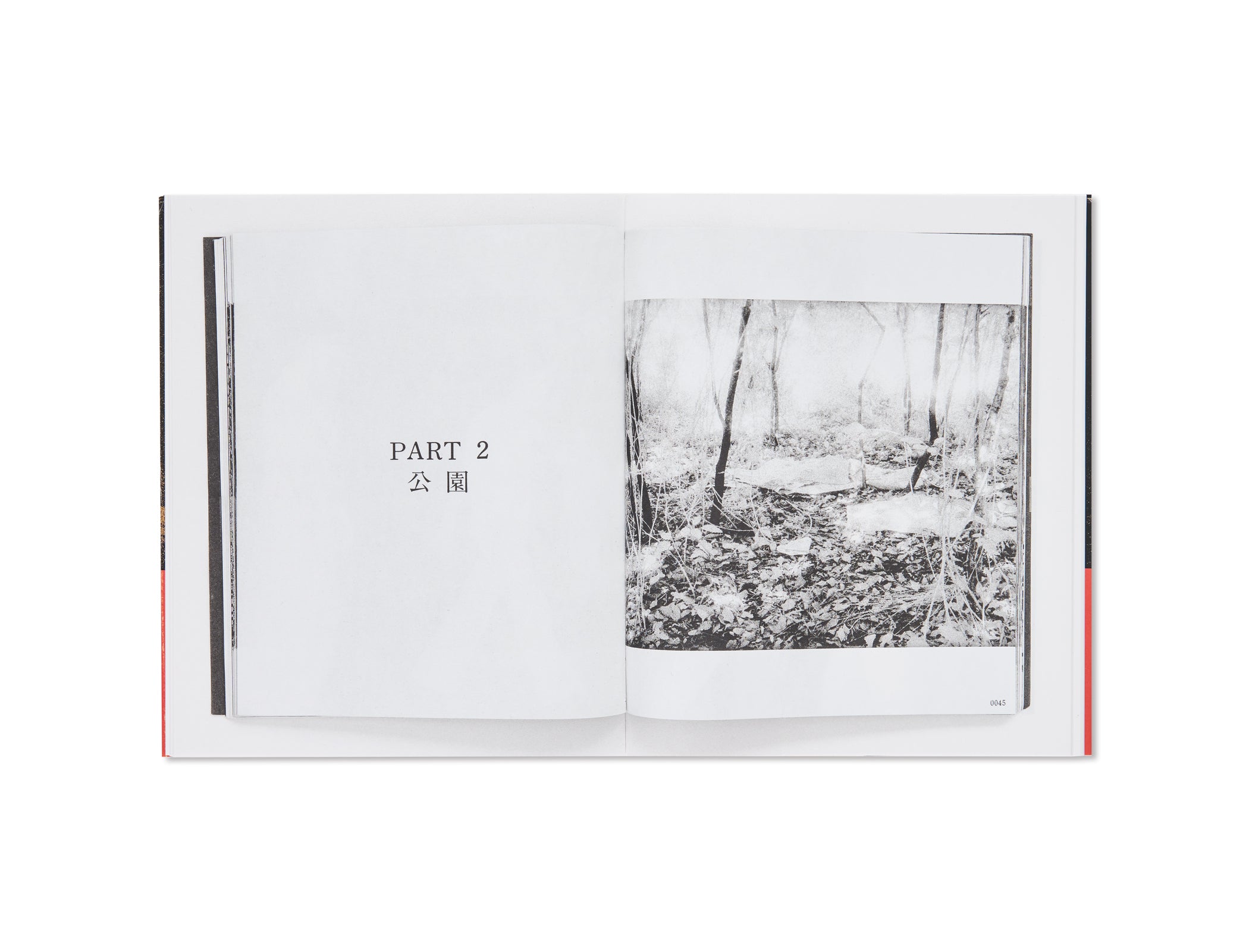 THE PARK by Kohei Yoshiyuki [SPECIAL EDITION] – twelvebooks