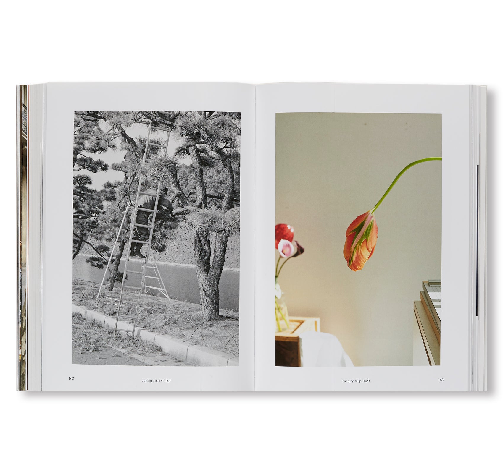 SOUND IS LIQUID by Wolfgang Tillmans – twelvebooks