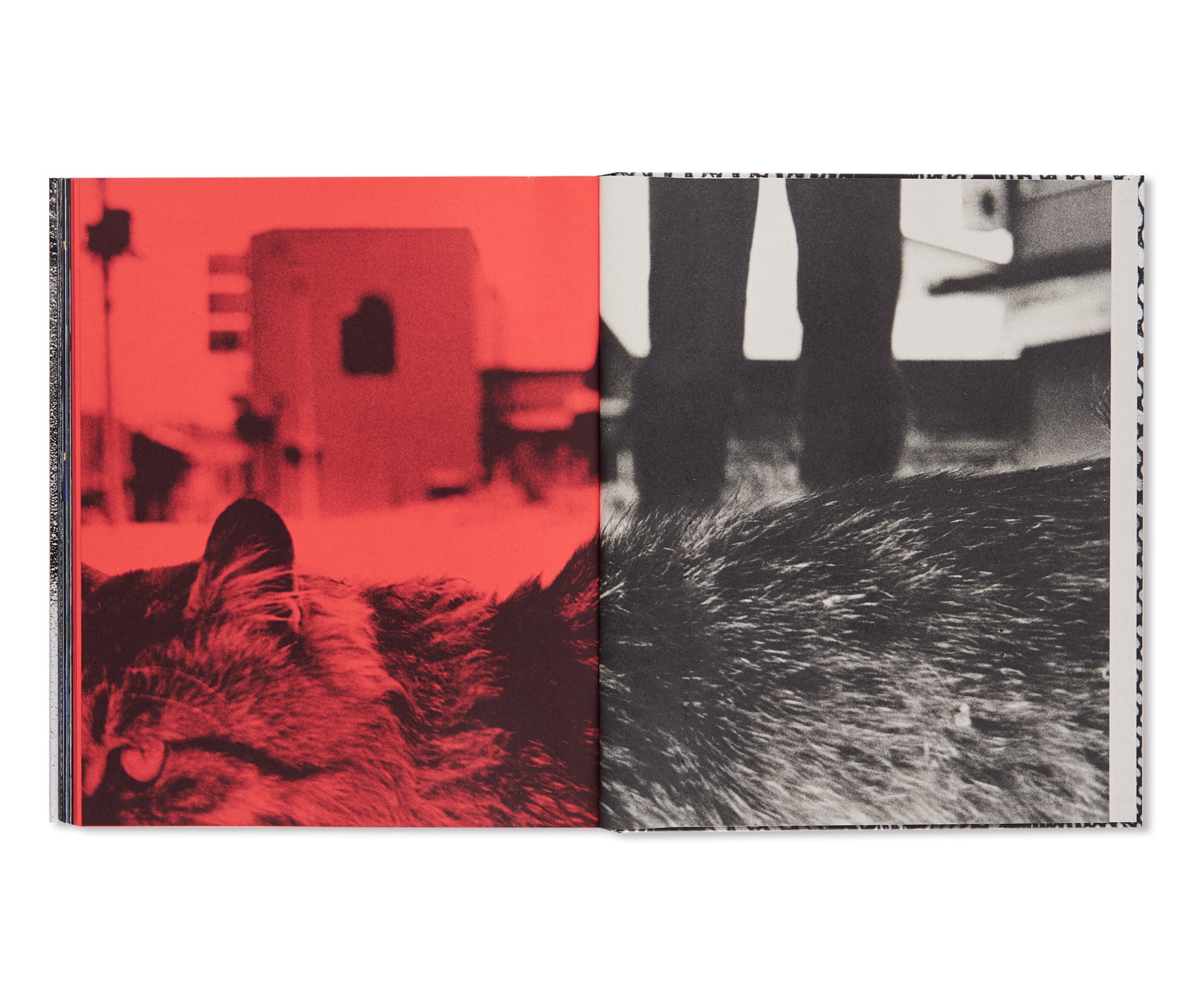 A DIARY - HASSELBLAD AWARD 2019 by Daido Moriyama – twelvebooks