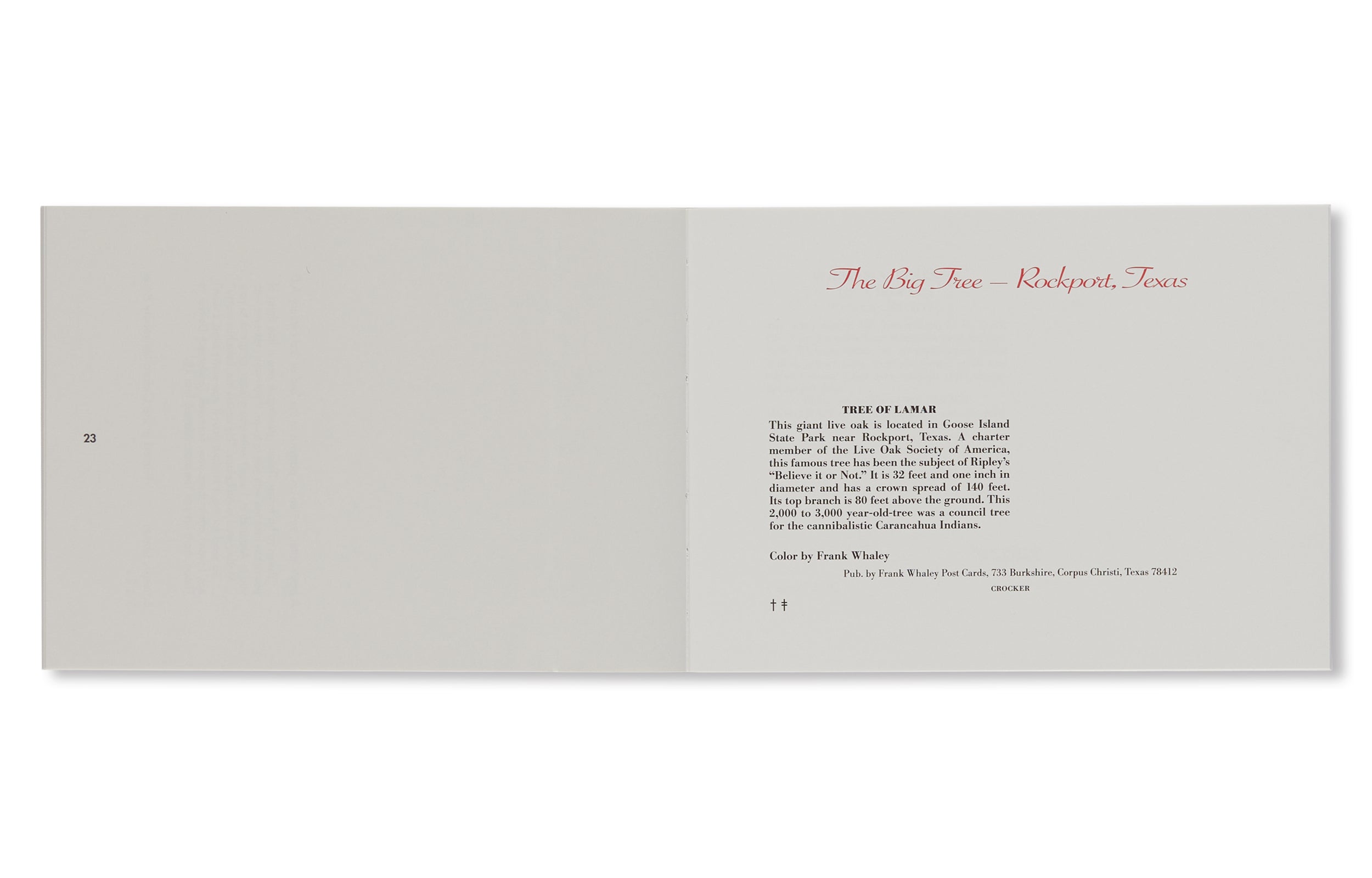 82 POSTCARDS by Roni Horn – twelvebooks