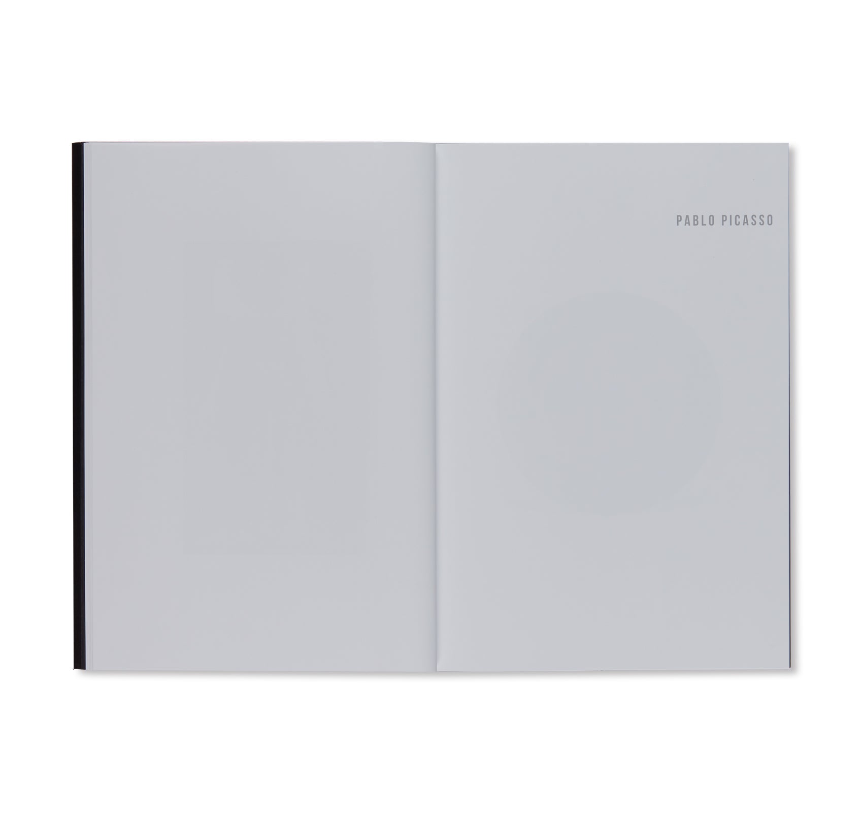 PABLO PICASSO RICHARD PRINCE by Richard Prince – twelvebooks