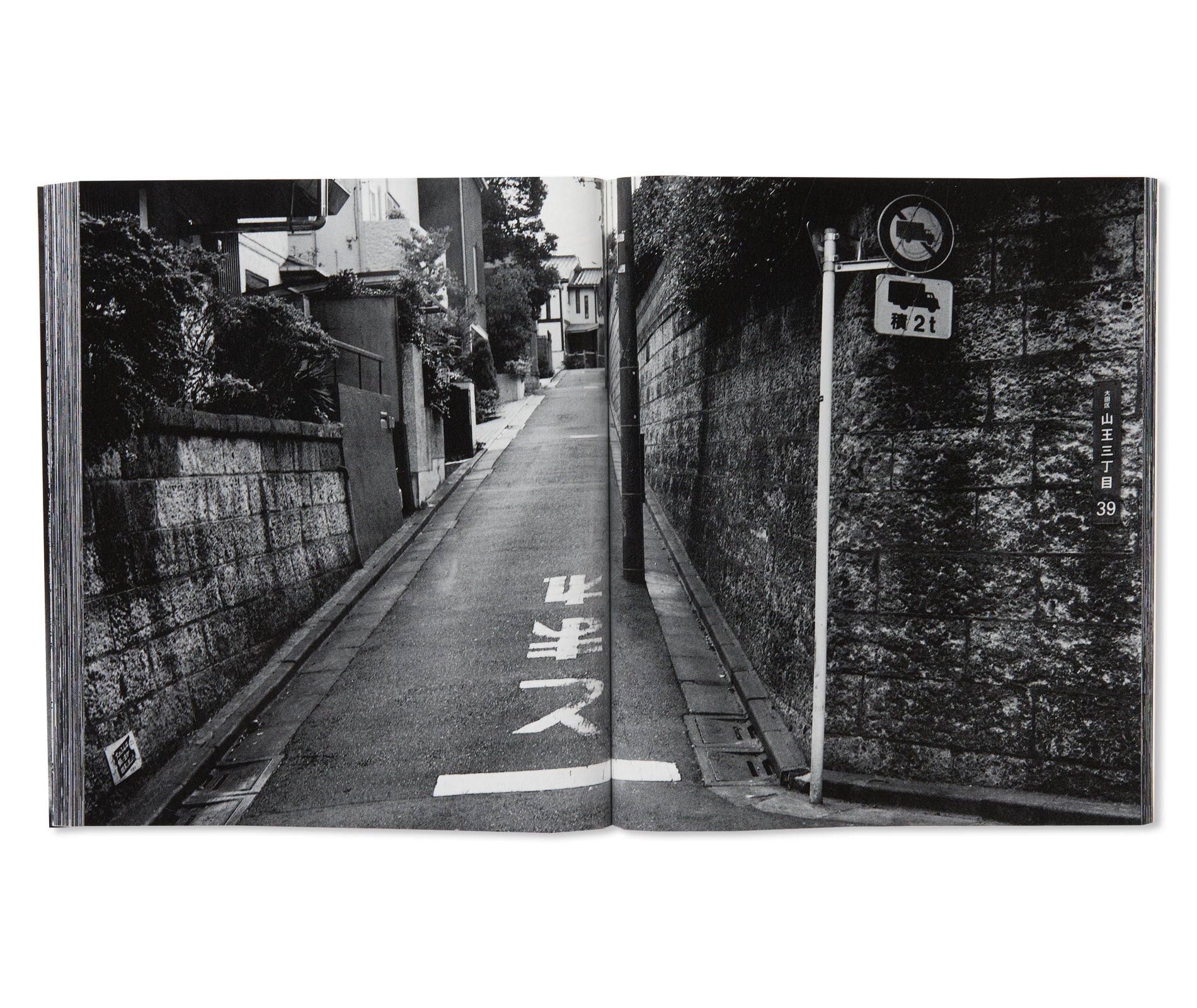流石 / RYU U SE KI - HYSTERIC No.10 by Nobuyoshi Araki – twelvebooks