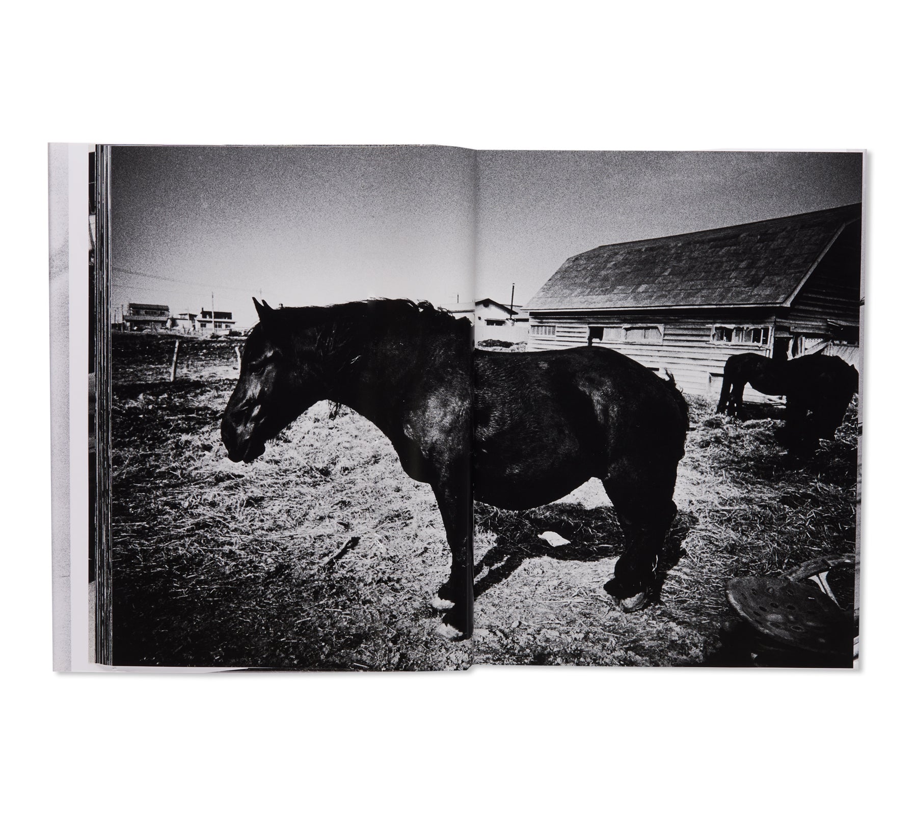 北海道 / HOKKAIDO by Daido Moriyama – twelvebooks
